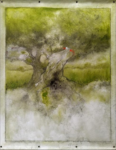 hêtres de théodosia