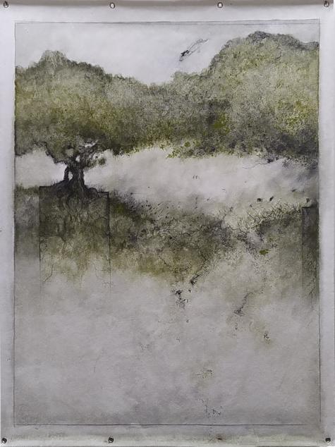 hêtres de théodosia