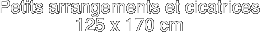 Petits arrangements et cicatrices
